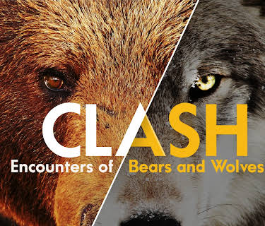 Clash: Encounters of Bears and Wolves (1982)