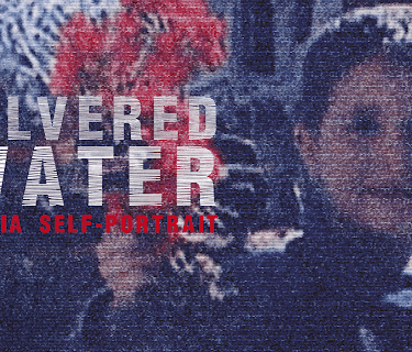 Silvered Water: Syria Self-Portrait (2014)