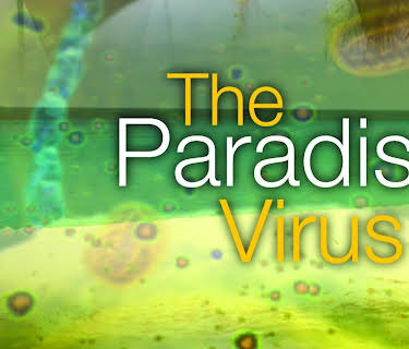 Paradise Virus (2003)