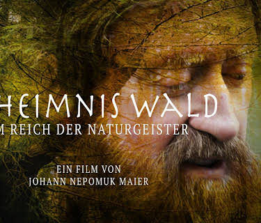 Geheimnis Wald (2022)