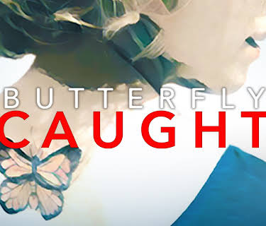 Butterfly Caught (2017)