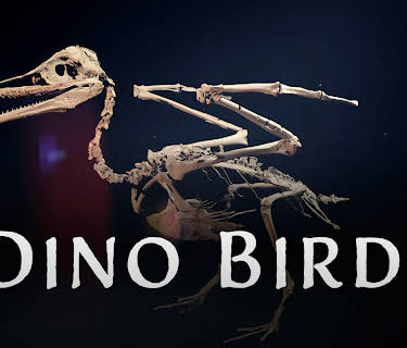 Dino Birds (2025)
