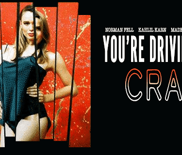 You're Driving Me Crazy (1991)