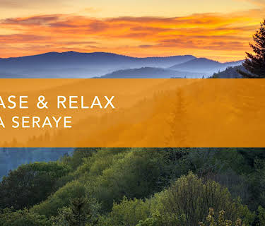 Release and Relax (2022)