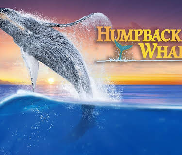 Humpback Whales (2015)