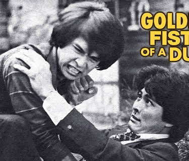 Golden Fists of a Duo (1981)