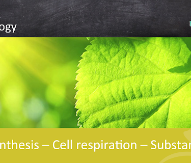 Photosynthesis - Cell respiration - Substance flow - School Movie on Biology