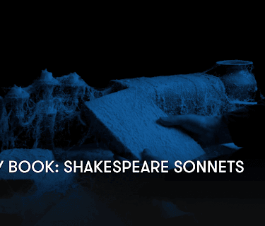 Sleepy Book: Shakespeare Sonnets (2023)