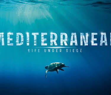 Mediterranean: Life Under Siege