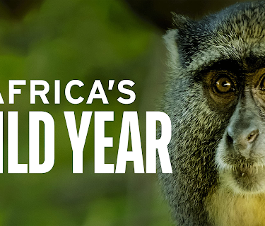 Africa's Wild Year, Season 1