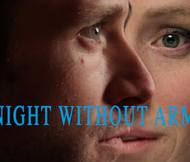 A Night Without Armor (2017)