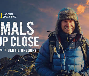 Animals Up Close with Bertie Gregory