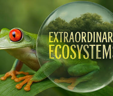 Extraordinary Ecosystems (2022)