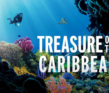 Treasure of the Caribbean (2023)