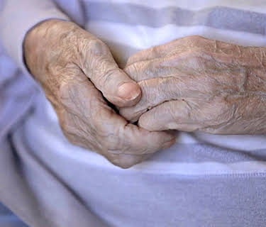 The Guardians (2018)