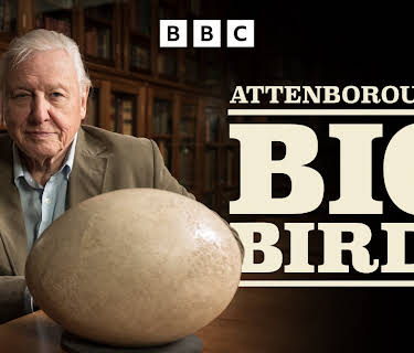 Attenborough's Big Birds