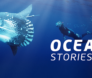 Ocean Stories