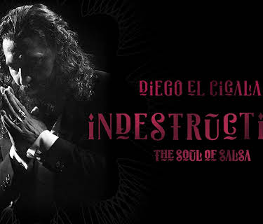 Indestructible: The Soul of Salsa (2018)