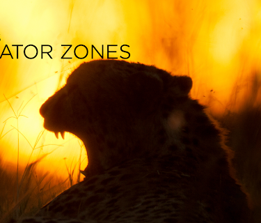 Africa's Predator Zones