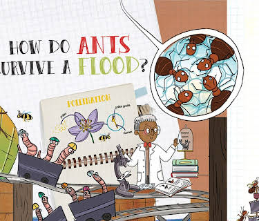 How Do Ants Survive a Flood? (2023)