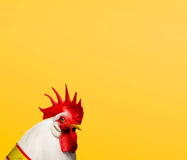 Chicken People (2016)