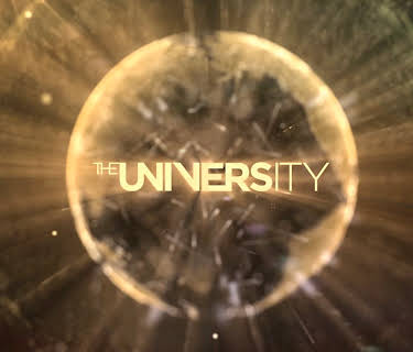 The University (2016)