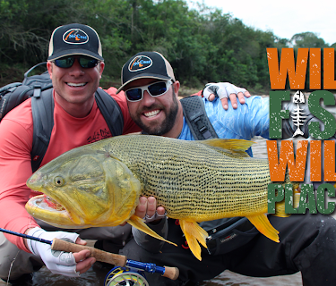 Wild Fish Wild Places