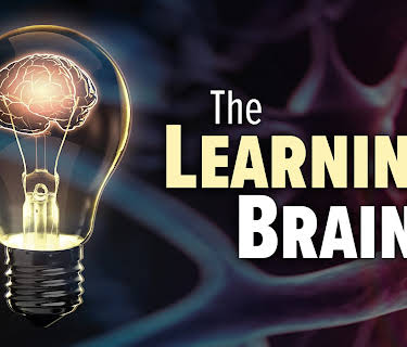 The Learning Brain