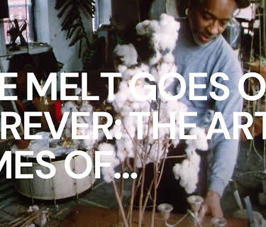 The Melt Goes on Forever: The Art & Times of David Hammons (2022)