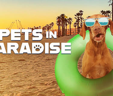 Pets in Paradise