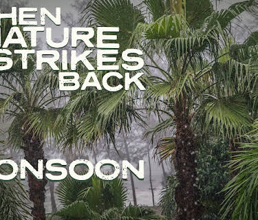 When Nature Strikes Back: Monsoon (2003)