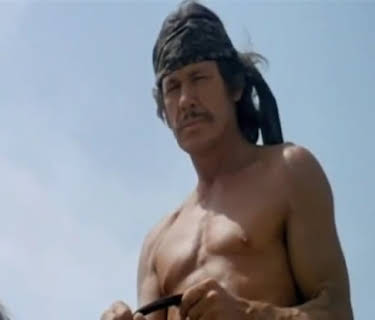 Chato's Land