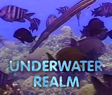 Underwater Realm (2012)