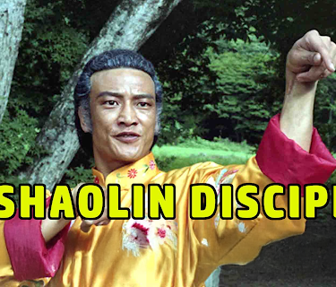 10 Shaolin Disciples (1982)