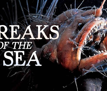 Freaks of the Sea (2026)
