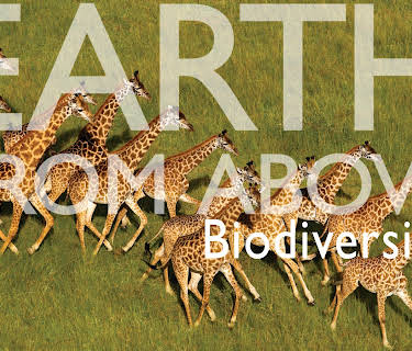 Earth From Above- Biodiversity (2006)