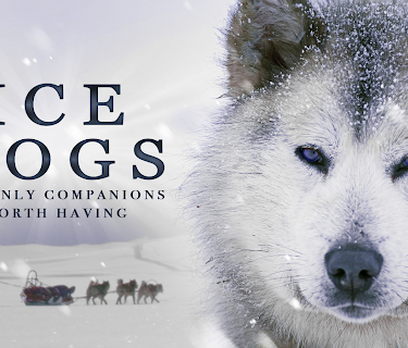 Ice Dogs: The Only Companions Worth Having (2016)