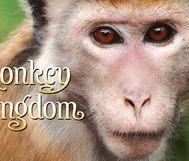 Monkey Kingdom (2015) (Plus Bonus Features) (2015)