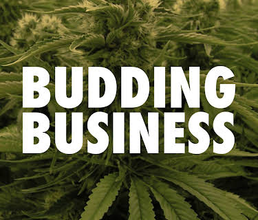 Budding Business (2019)