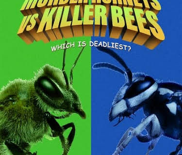 Murder Hornets Vs Killer Bees (2020)
