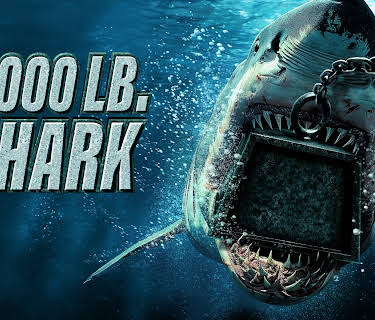 6000lb Shark (2024)