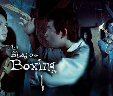 The Shadow Boxing (1979)