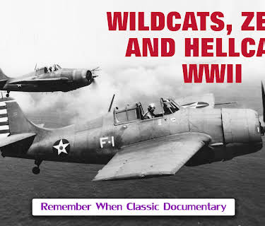 Wildcats, Zeros and Hellcats - WWII