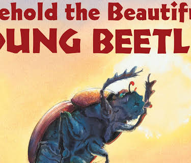 Behold the Beautiful Dung Beetle