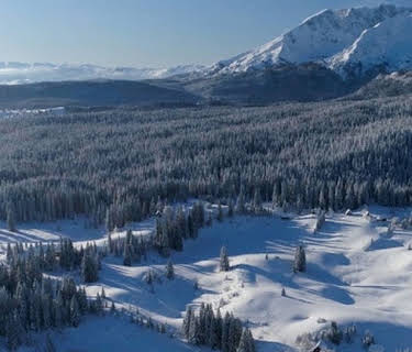Winter Wonderland II (2022)