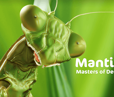 Mantises - Masters of Deception (2018)