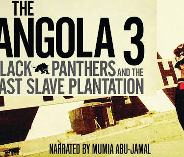 Angola 3 - Black Panthers And The Last Slave Plantation (2008)