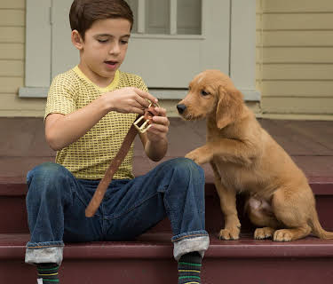 A Dog's Purpose (2017)