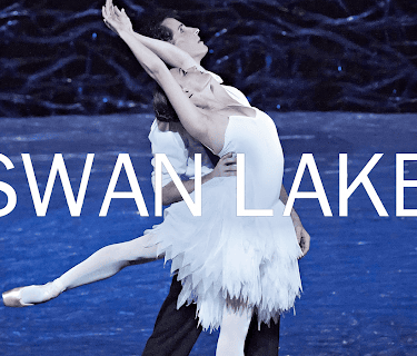 Swan Lake (2010)