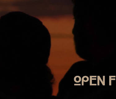 Open Five (2010)